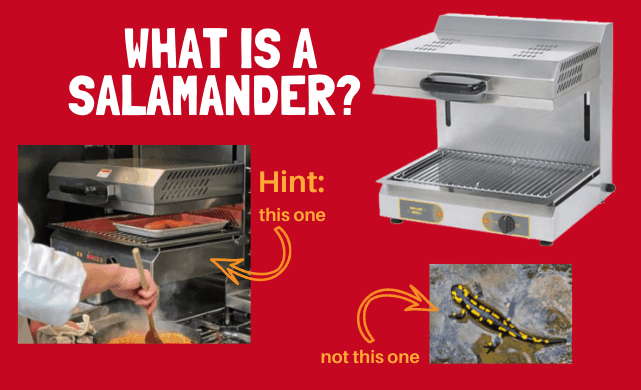 what is a salamander